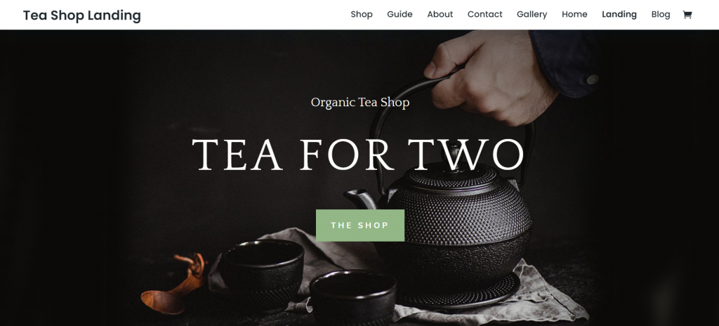 Thème WordPress d'e-commerce Divi