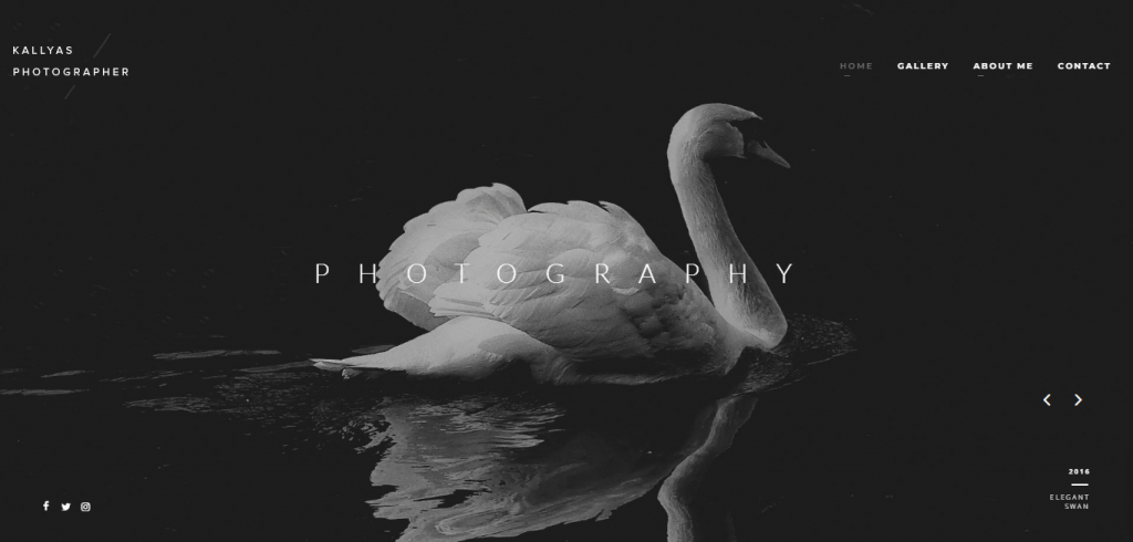 Kallyas thème WordPress pour photographe