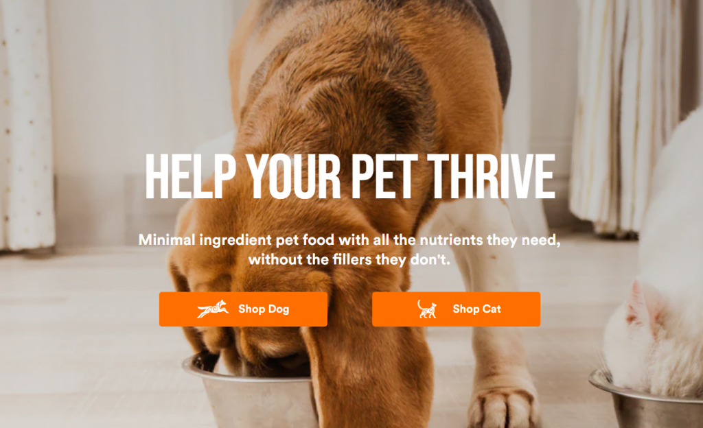 L'exemple du site web Koha Pet StoryBrand