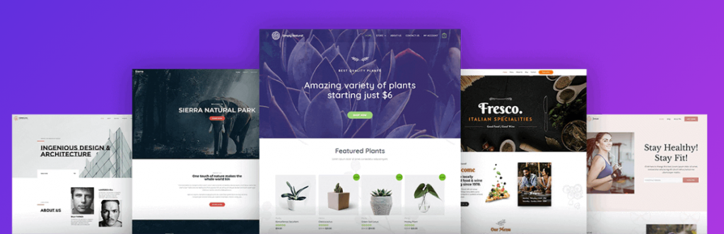 themes-wordpress-simples En-tête du site web d'Astra